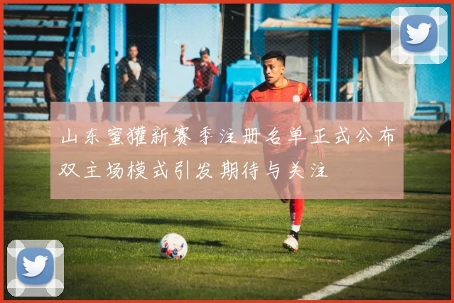 山东蜜獾新赛季注册名单正式公布双主场模式引发期待与关注