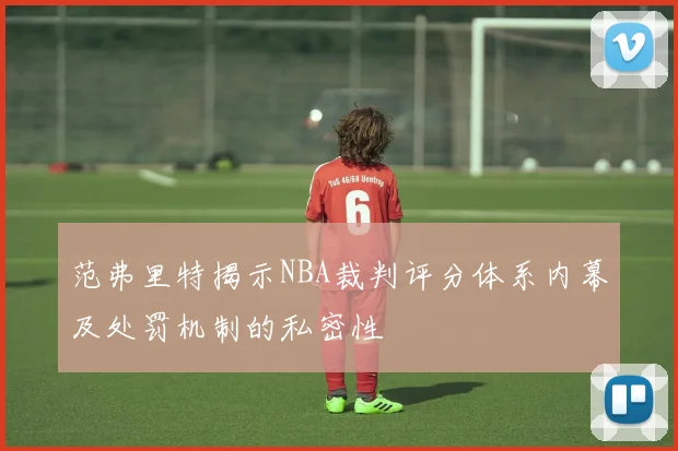范弗里特揭示NBA裁判评分体系内幕及处罚机制的私密性